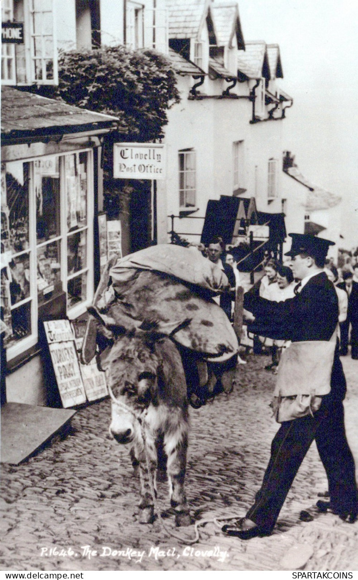 ÂNE Animaux Vintage Antique CPA Carte Postale #PAA275.FR - Esel