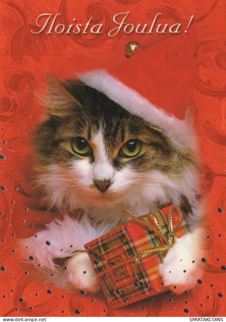 GATTO KITTY Animale Vintage Cartolina CPSM #PAM515.IT - Gatos