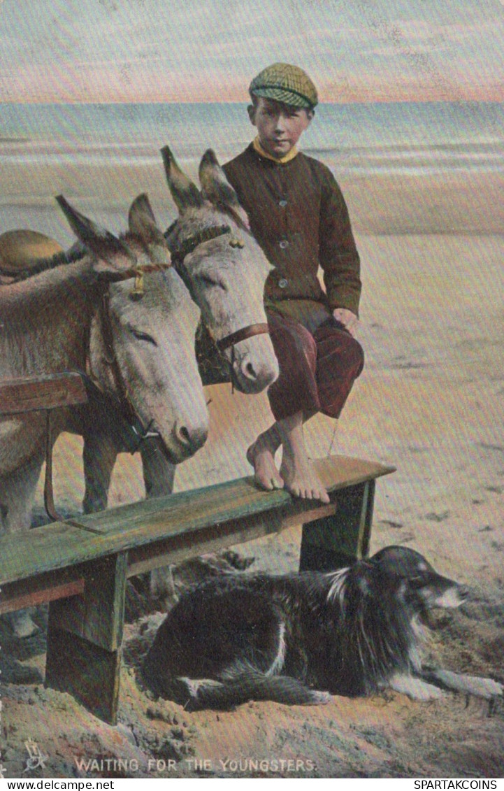 ASINO Animale Vintage CPA Cartolina #PAA277.IT - Ezels