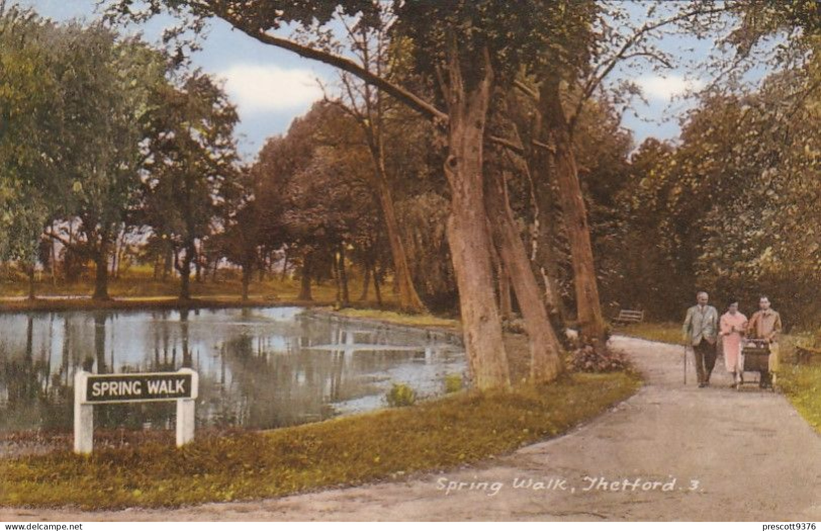 Spring Walks 3 - Norfolk - Unused Saucy Postcard - National Series -N1 - Norwich