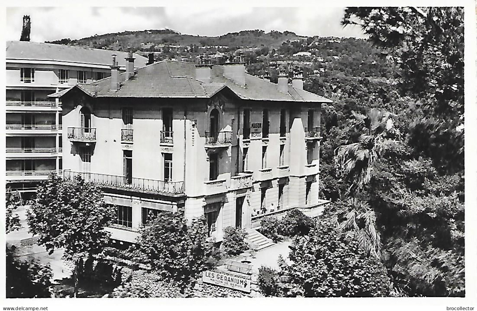 LE CANNET ( 06 ) - Maison De Repos " Les Géraniums " Boulevard Carnot ( C.P.S.M. , Pt - Ft ) - Le Cannet