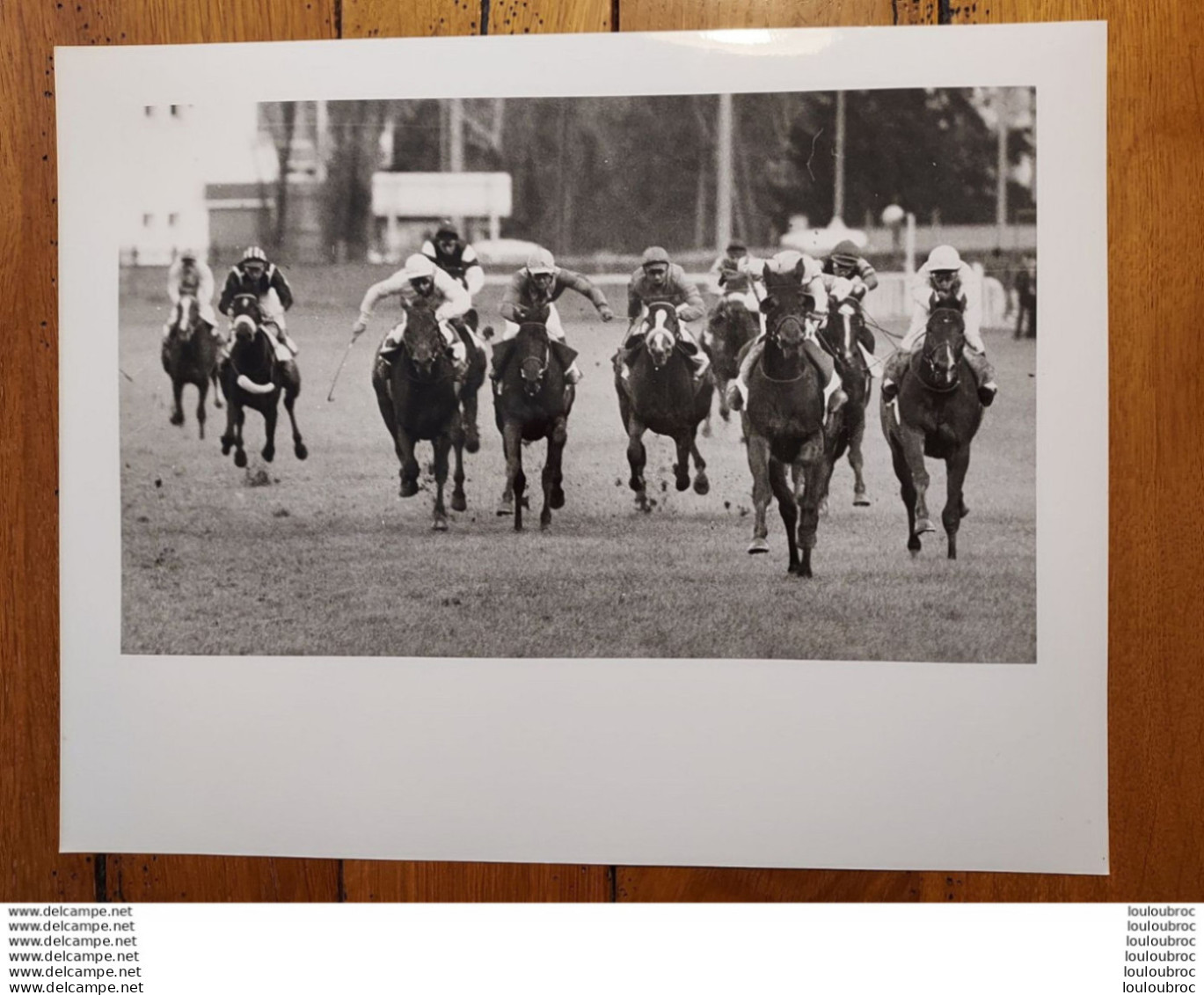 GRANDE PHOTO  DE PRESSE ORIGINALE  LE PROGRES DE LYON COURSE HIPPIQUE  FORMAT 30 X 24 CM R4 - Sporten