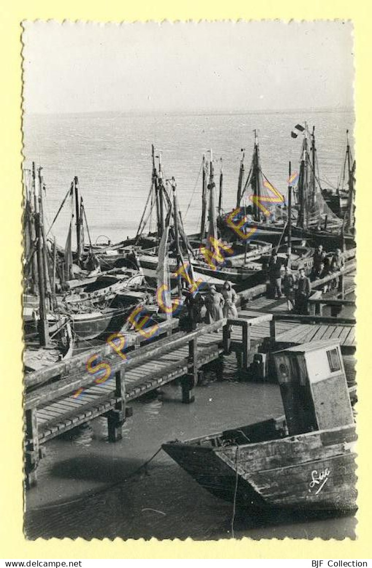 80. LE-CROTOY - Le Port De Pêche (animée) CPSM (bateaux) - Le Crotoy