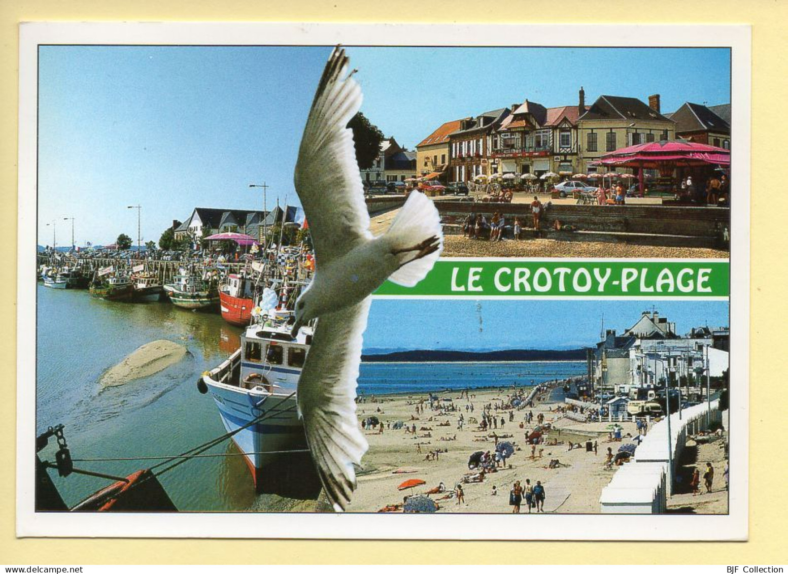 80. LE CROTOY-PLAGE – Multivues – Mouette (animée)(voir Scan Recto/verso) - Le Crotoy