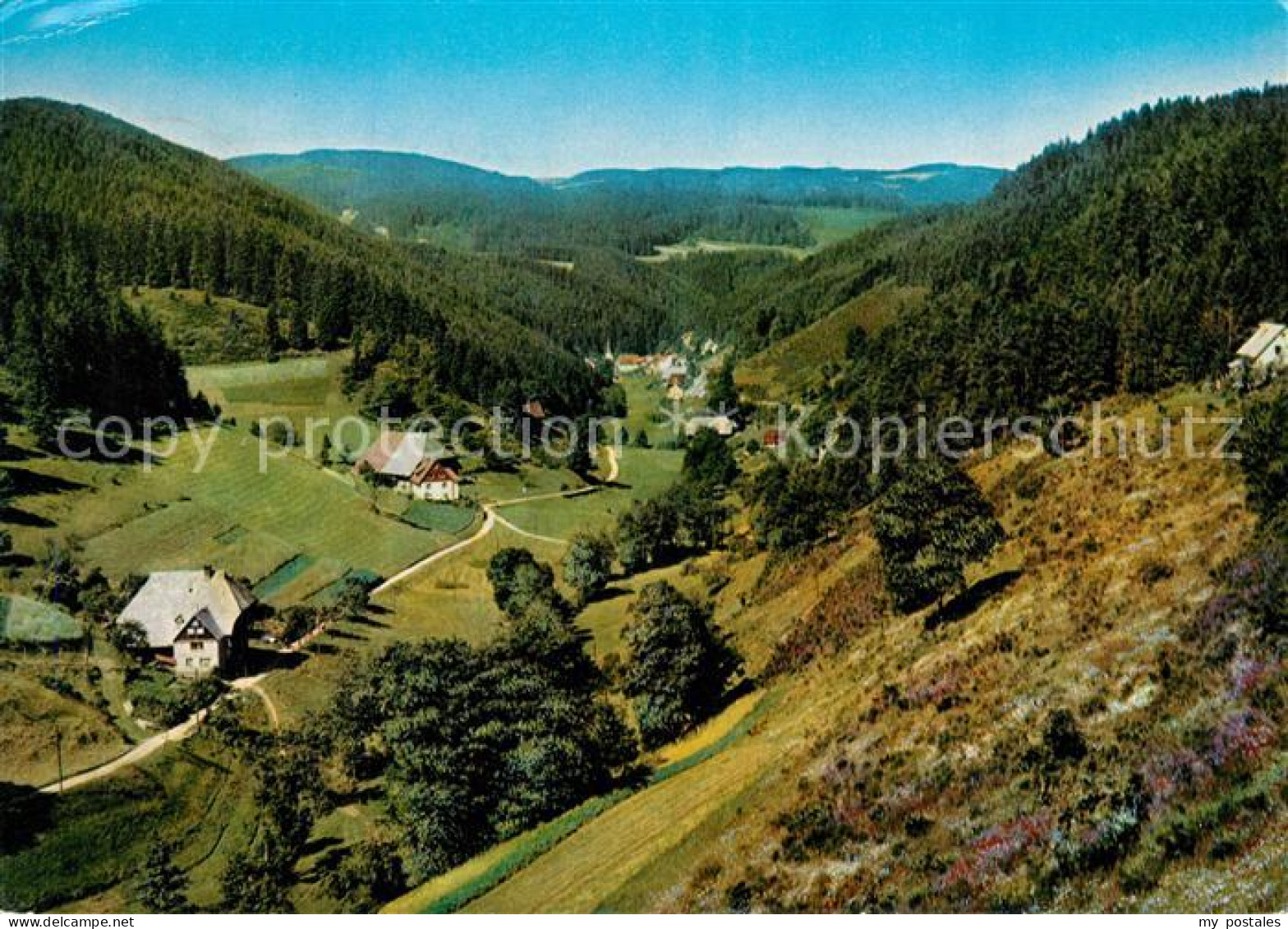 73306669 Nussbach Schwarzwald Blick Ins Nussbachtal Nussbach Schwarzwald - Triberg