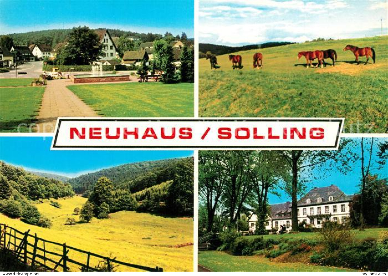 73306625 Neuhaus Solling Teilansichten Trakehner Neuhaus Solling - Holzminden