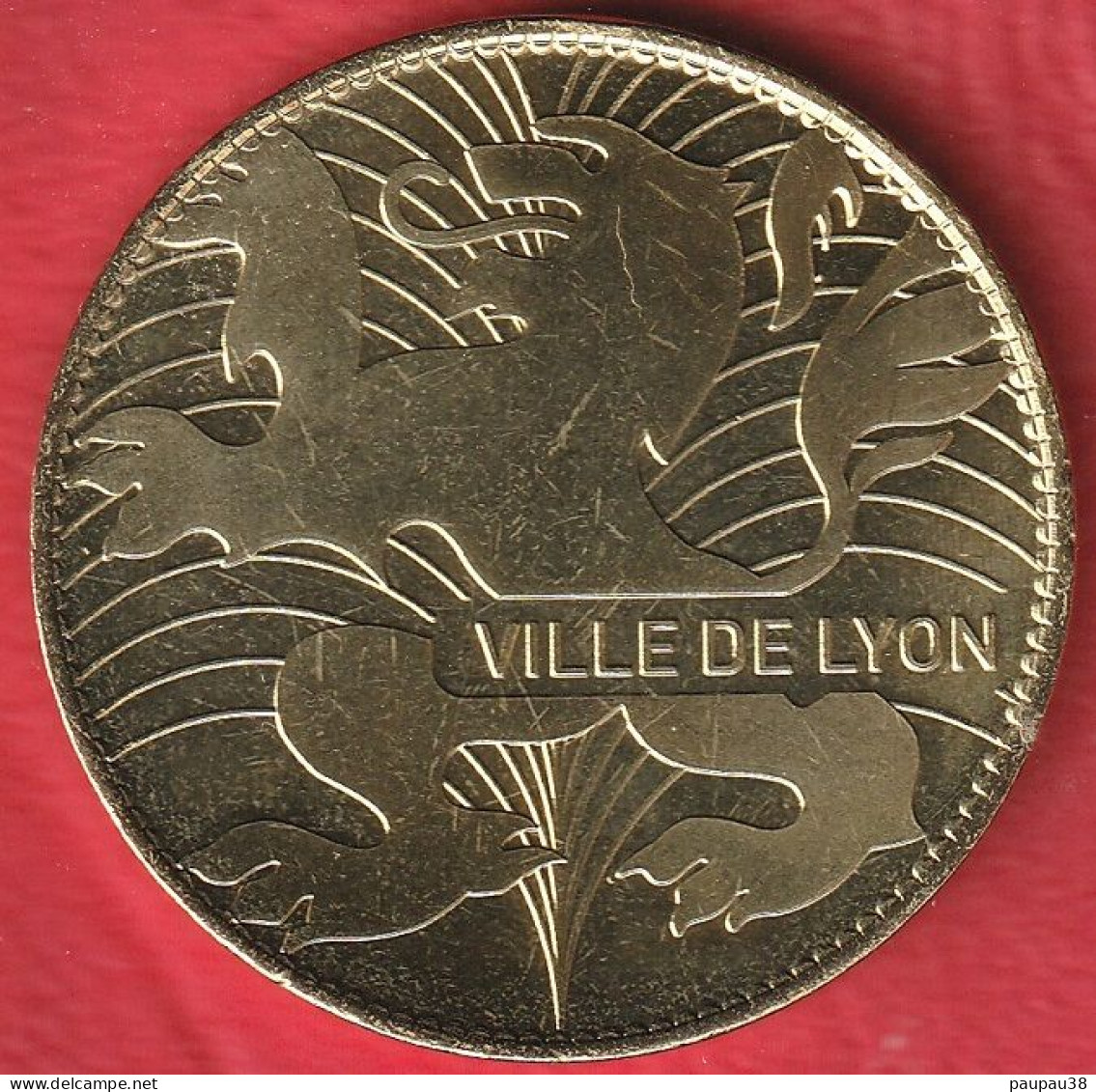 69 LYON Parc De La Tête D'Or - Lyon - TAPIR MALTAIS 2023 - Zonder Datum