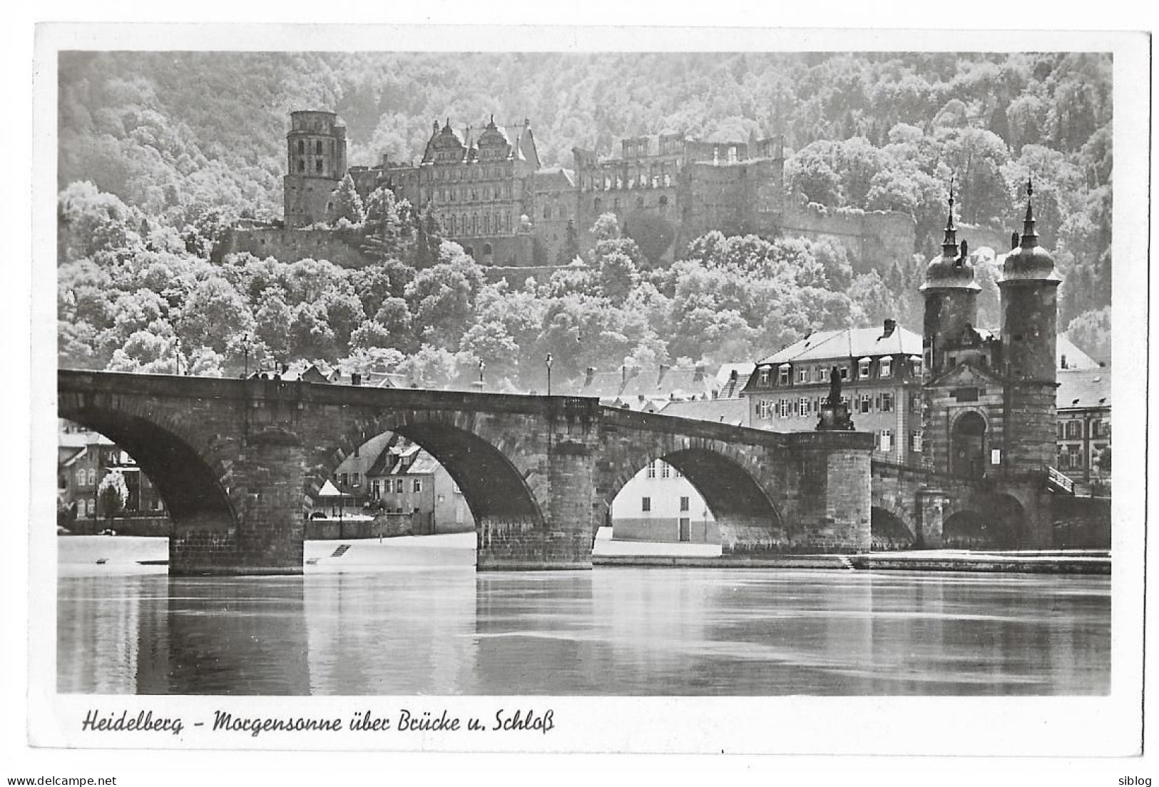 CPSM -  HEIDELBERG - Morgensonne über Brücke U. Schlob - Heidelberg