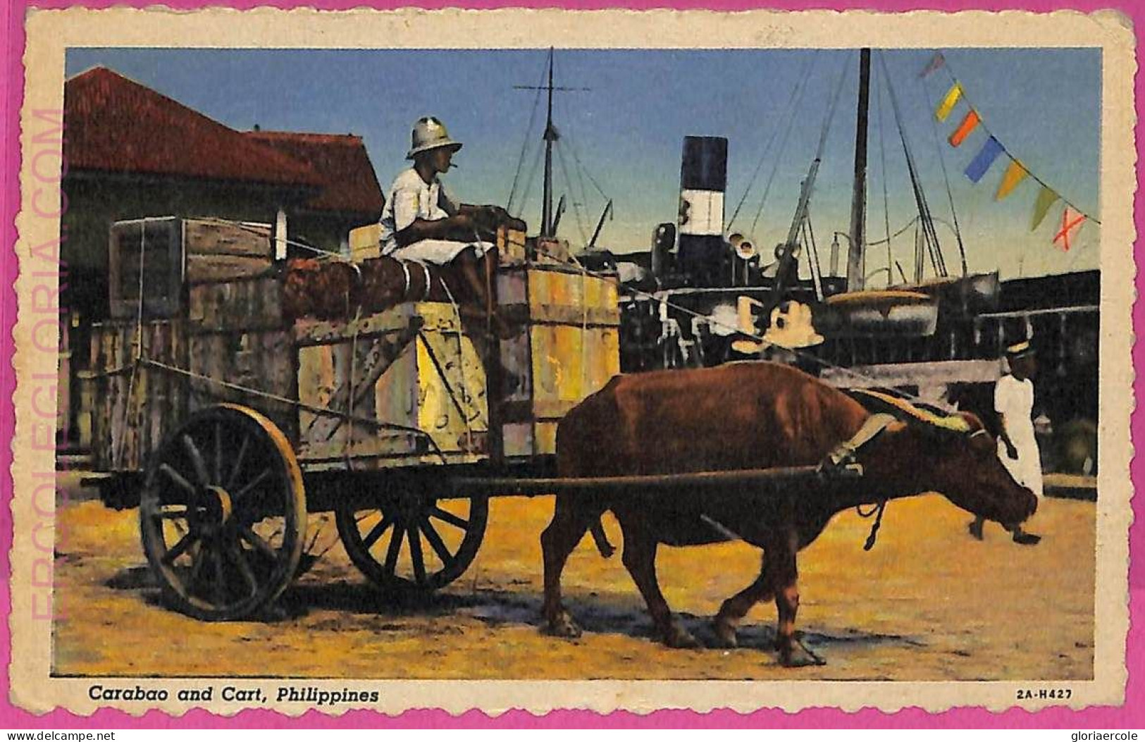 Ag3568 -  Philippines - VINTAGE POSTCARD  - Ethnic, Carabao And Cart - Philippines