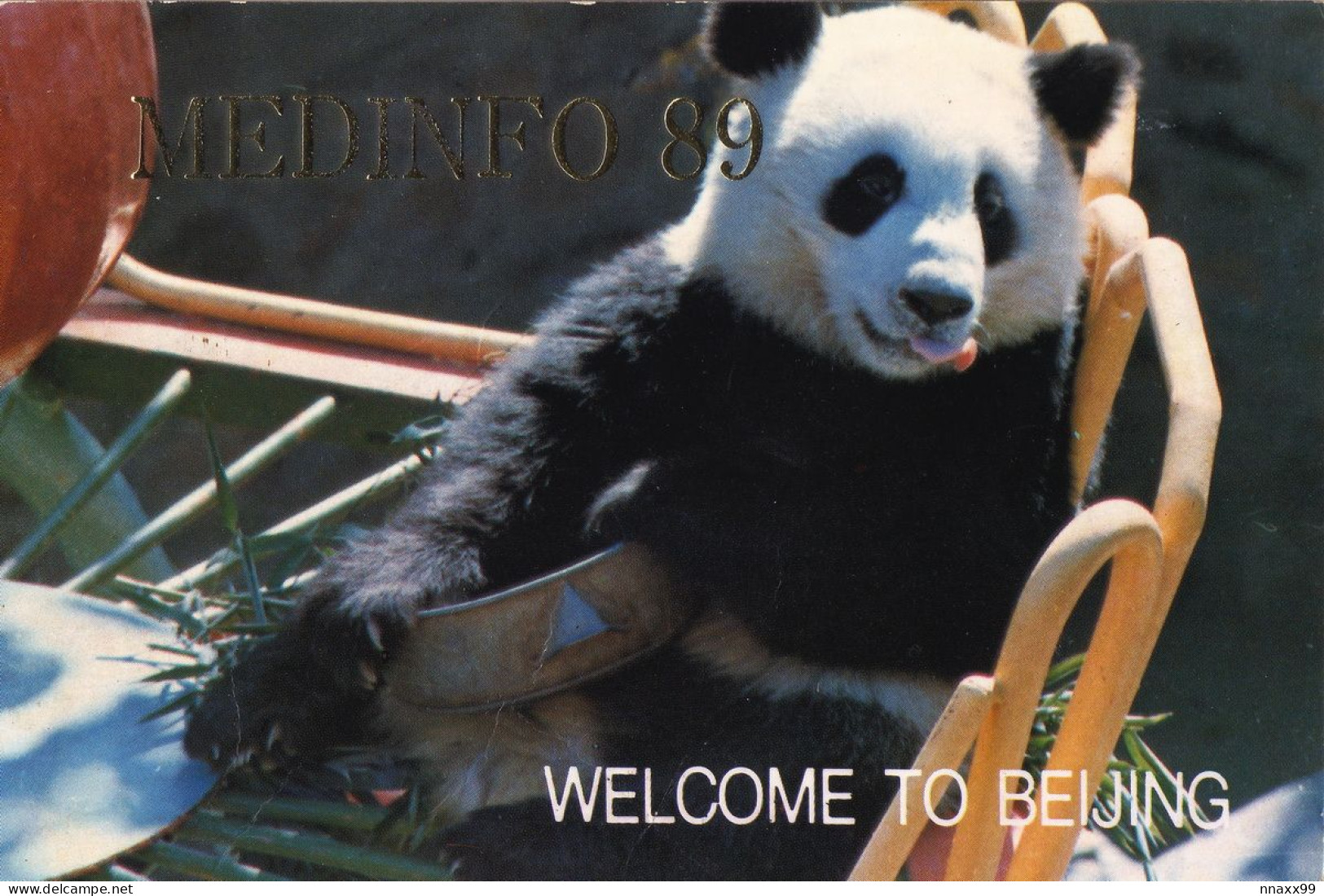 China - Panda In Beijing Zoo, MEDINFO 89, Organizing Committee Gift Postcard - Bears