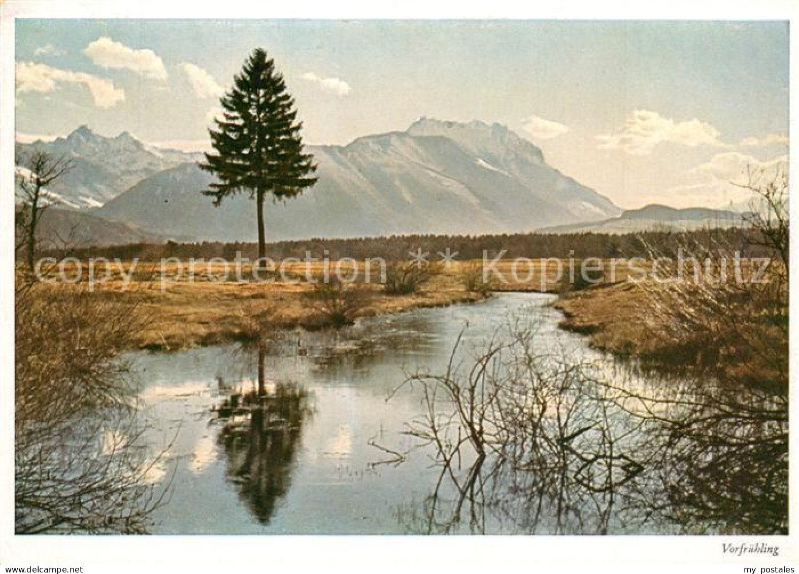 73304416 Meiningen Vorarlberg Landschaftspanorama Blick Aus Dem Rheintal Vorfrue - Sonstige & Ohne Zuordnung