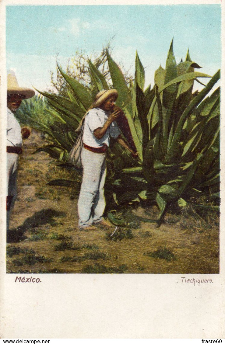 Mexico - Tlachiquero - Mexico