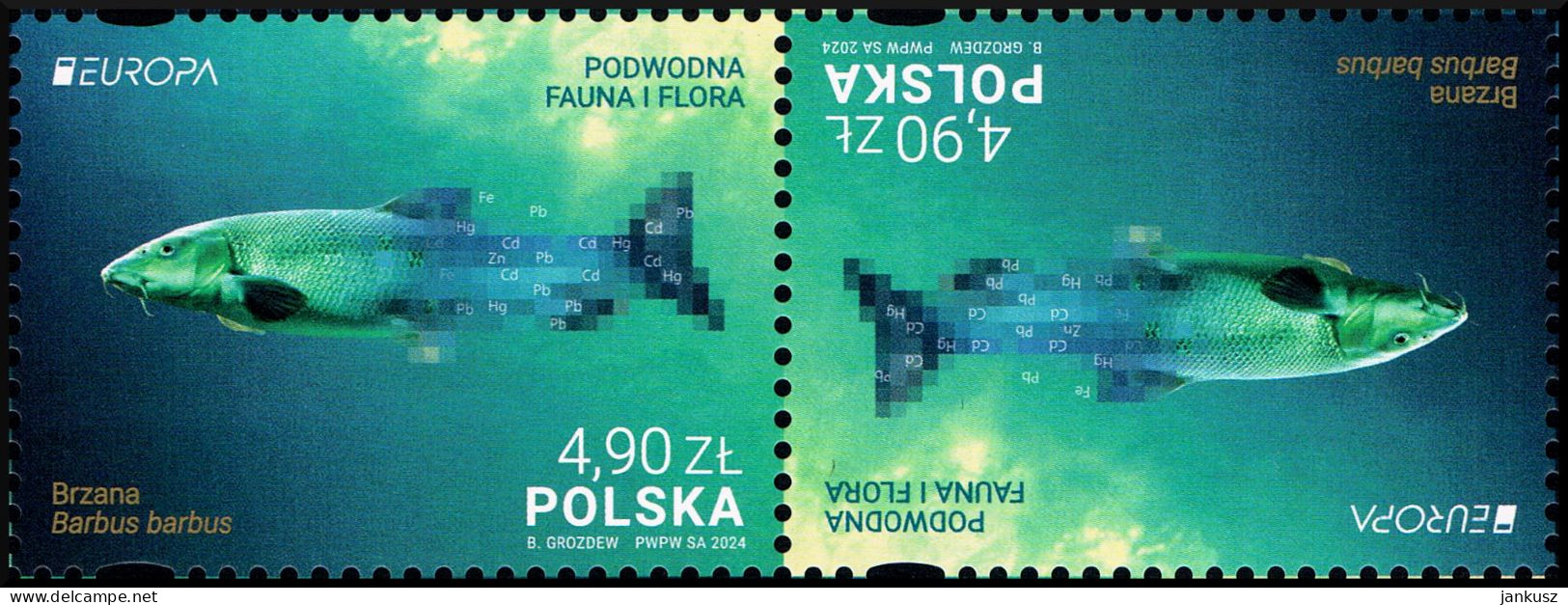Poland 2024 Fi 5376 Mi 5526 Tête-bêche 1 Europa - Unused Stamps
