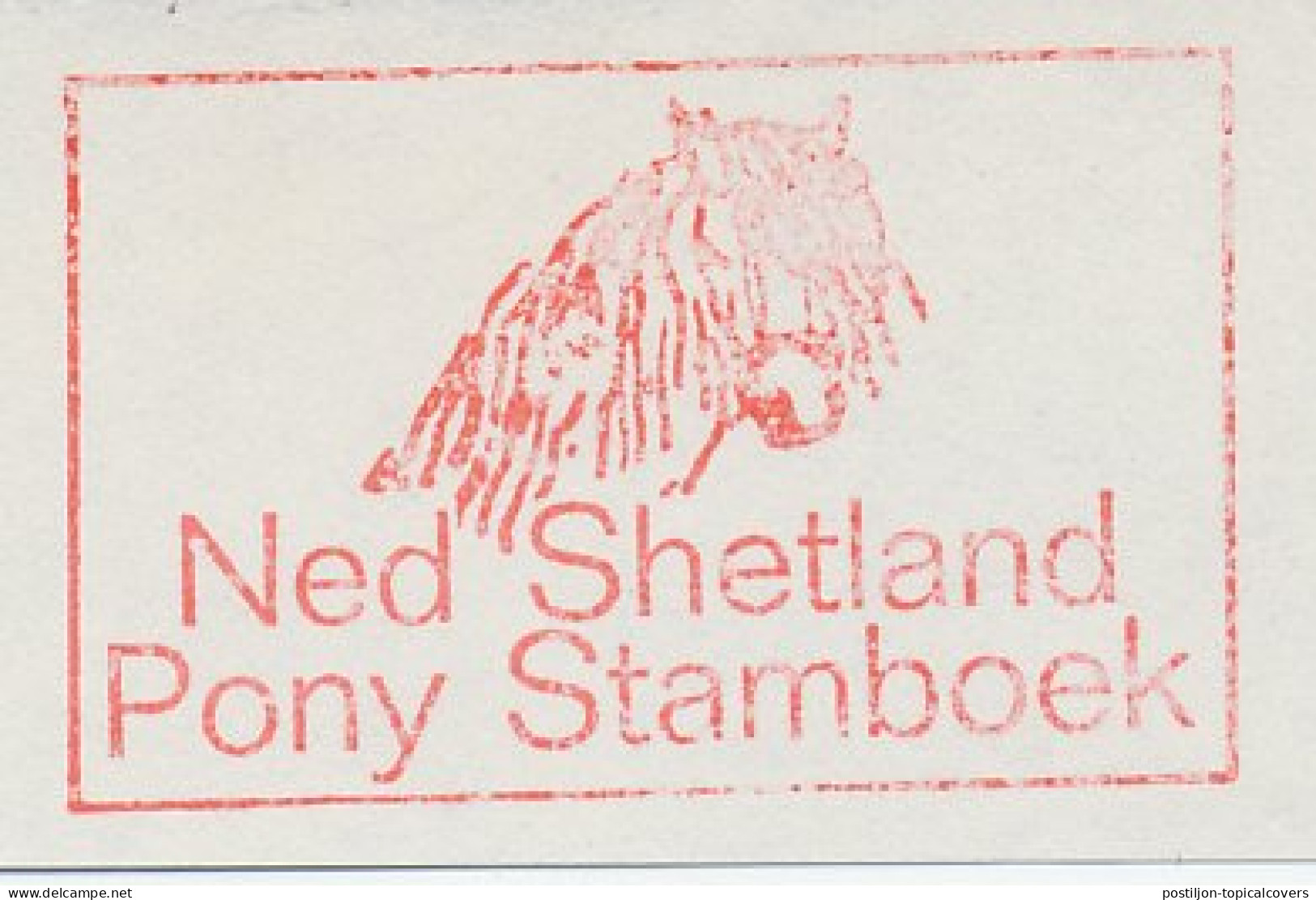 Meter Cut Netherlands 1976 Dutch Shetland Pony Studbook - Horse - Paardensport