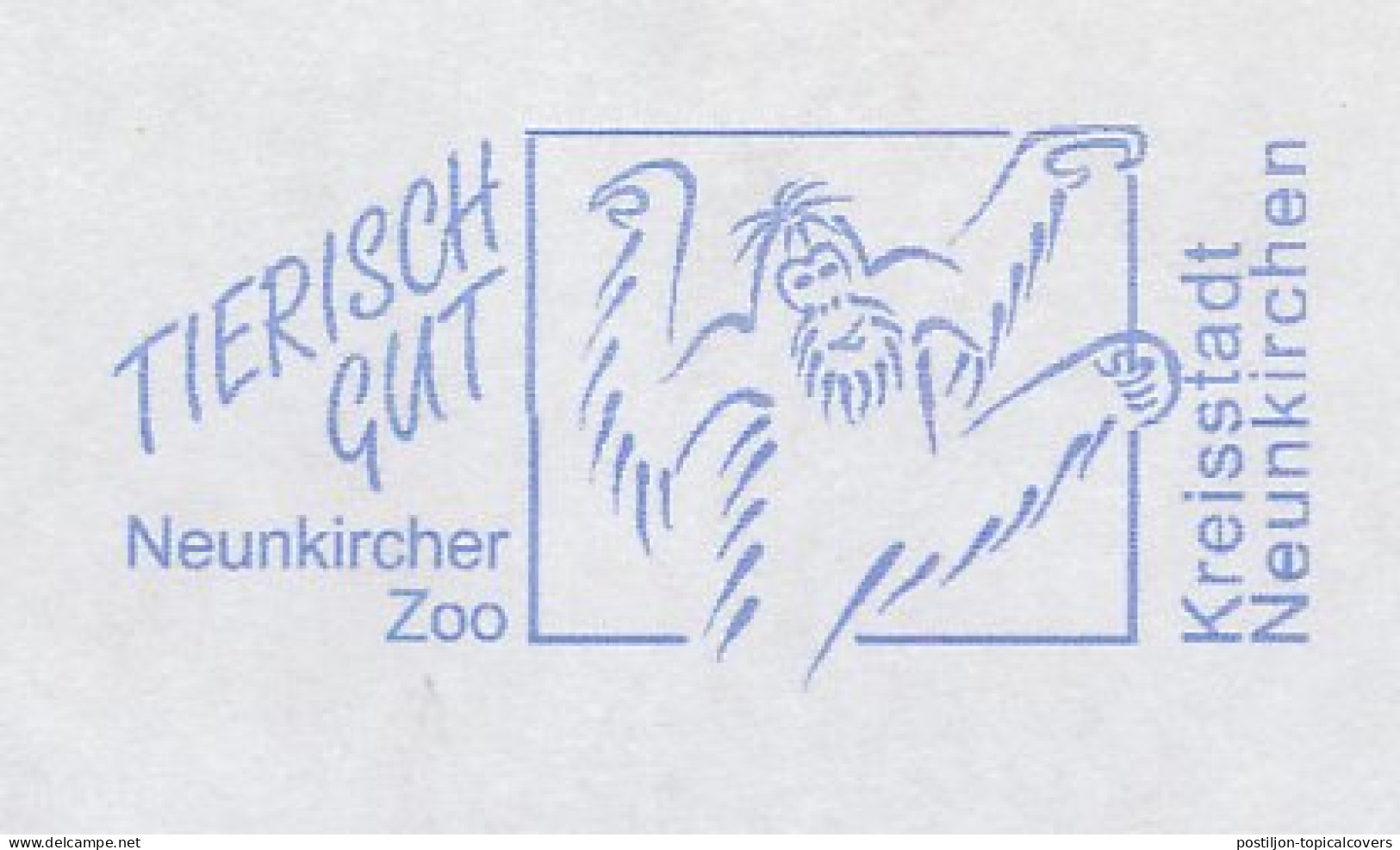 Meter Cover Germany 2004 Monkey - Orang Utan - Zoo Neunkirchen - Autres & Non Classés