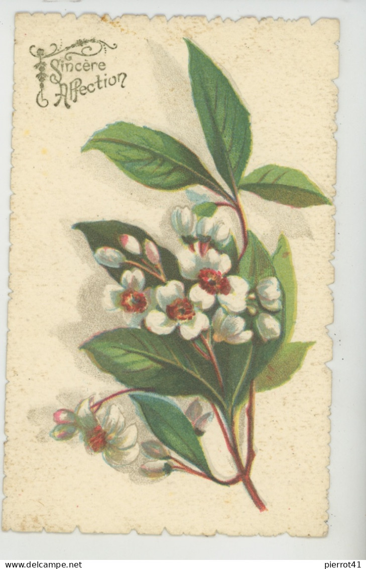 FLEURS - ITALY - Jolie Carte Fantaisie Fleurs "Sincère Affection" - SERIE ARTISTICA ACQUARELLO T.A;M. 1420 - Fleurs