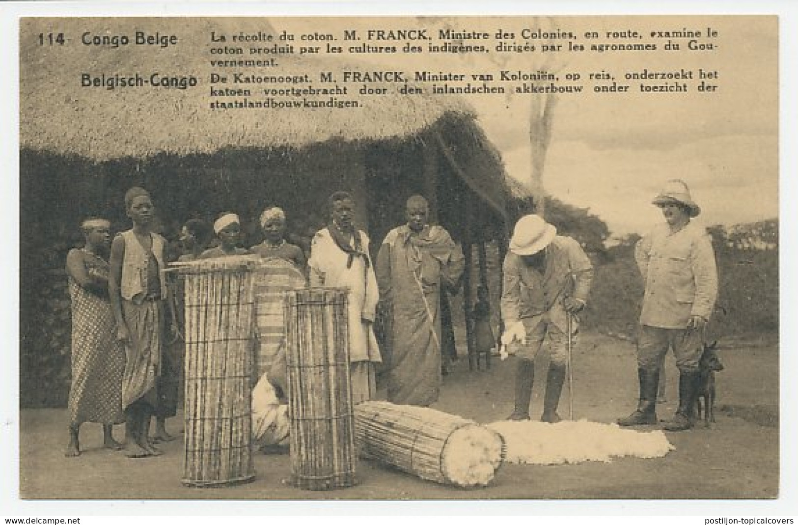Postal Stationery Belgium Congo Cotton Harvest - Dog - Textile
