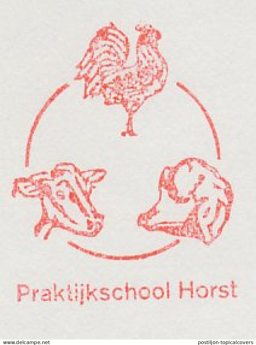 Meter Cut Netherlands 1987 Cow - Sheep - Cock - Rooster - Hoftiere