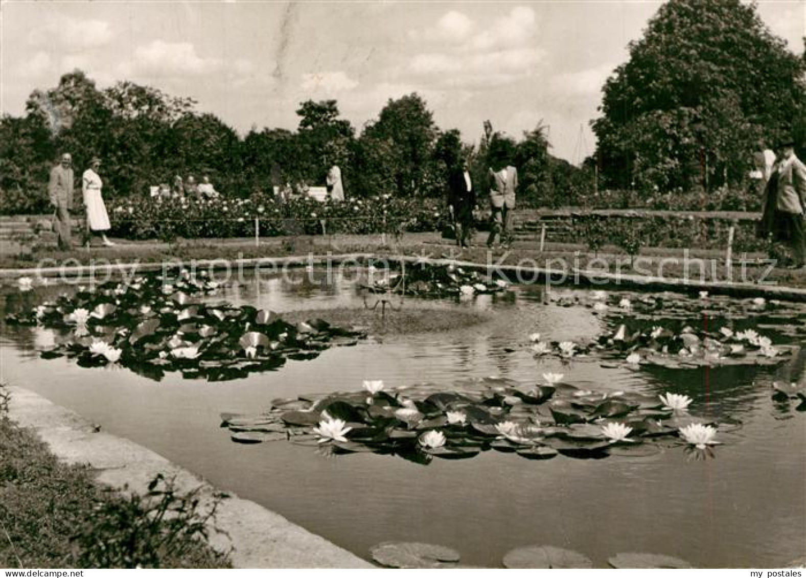 73300563 Essen Ruhr Botanischer Garten Seerosen Essen Ruhr - Essen