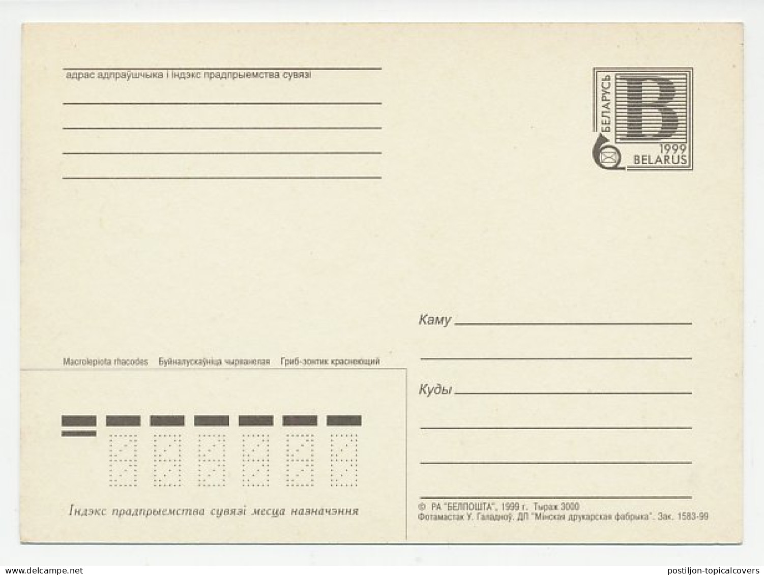 Postal Stationery Belarus 1999 Mushroom - Mushrooms