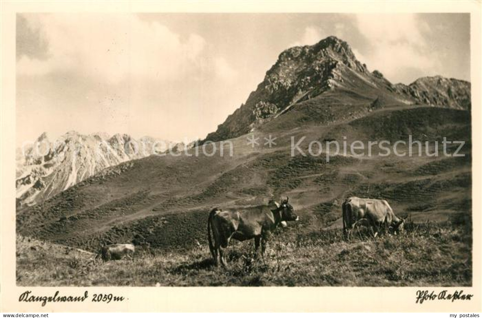 73300426 Kanzelwand Almwiesen Almvieh Kuehe Landschaftspanorama Allgaeuer Alpen  - Oberstdorf