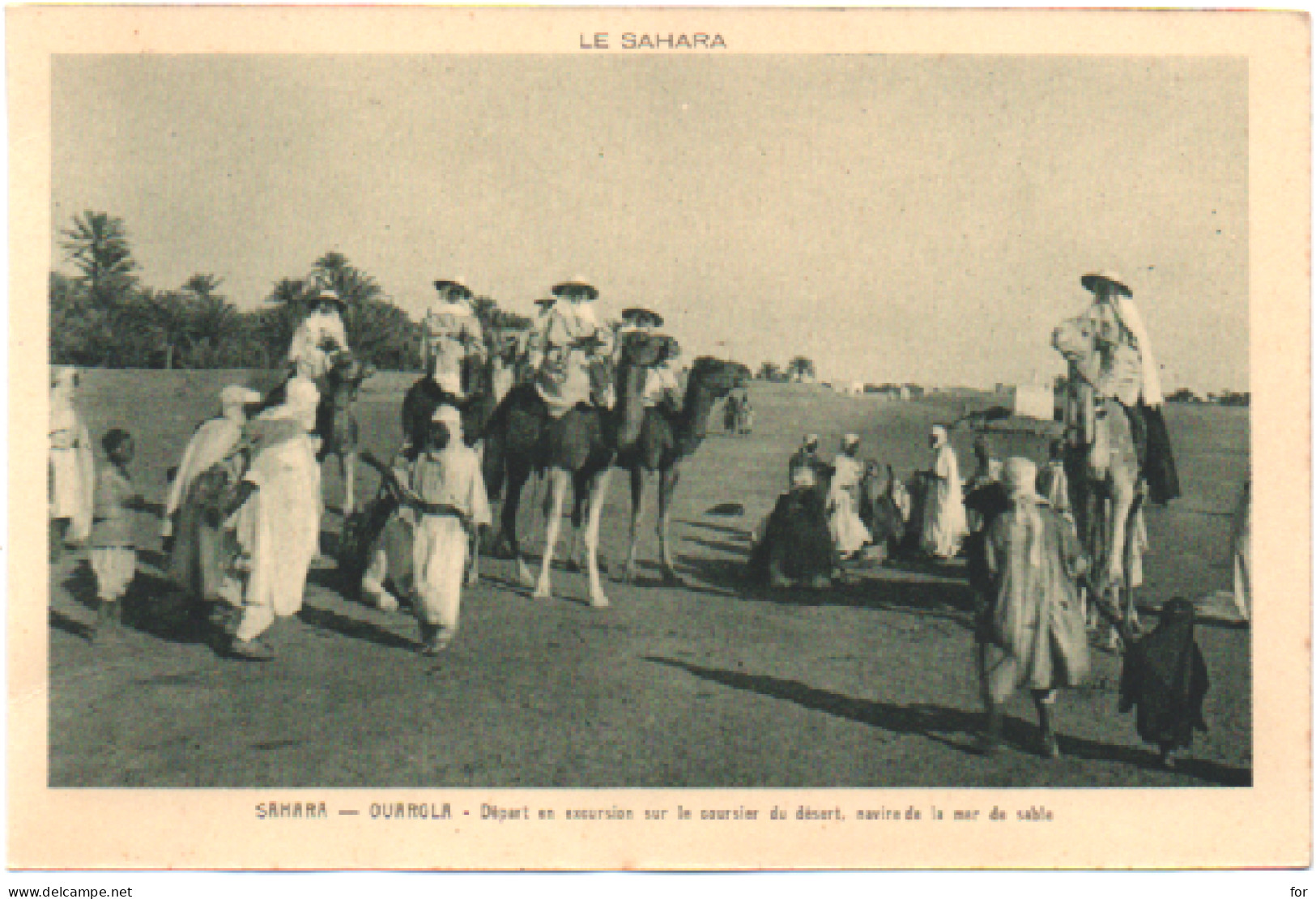 Algérie : OUARGLA : Départ En Excursion Sur Le Coursier Du Désert .... : Animée - Sœurs Sur Des Dromadaires : Sahara - Ouargla