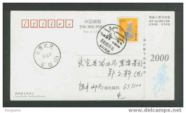 2001 CHINA LU FENG DINOSAUR COMM.PMK CARD - Prehistorisch