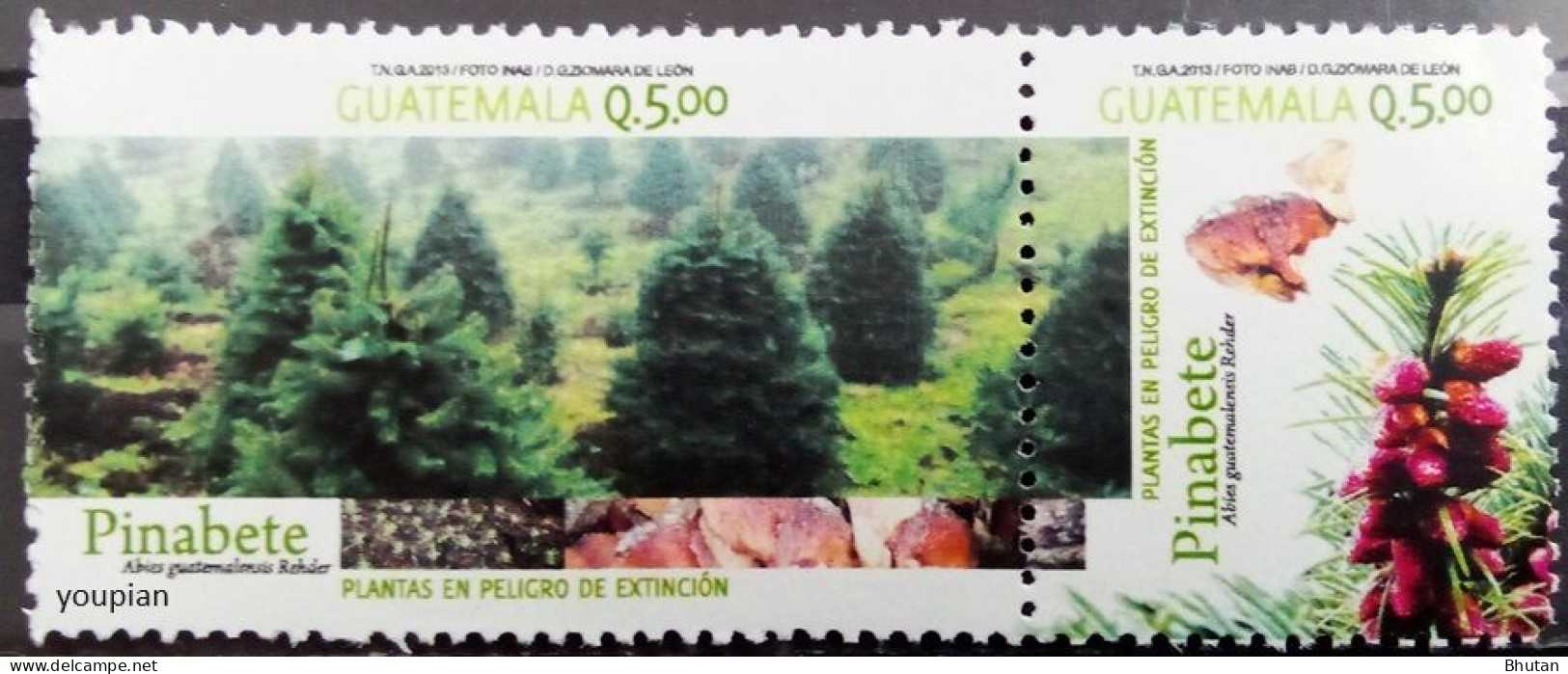 Guatemala 2014, Trees, MNH Single Stamp - Guatemala