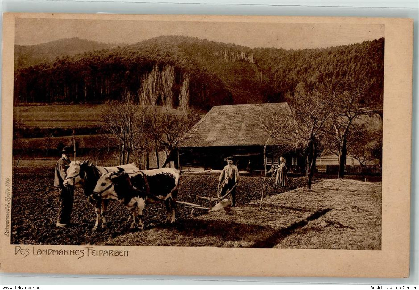 39153207 - Des Landmannes Feldarbeit Landwirtschaft Im Schwarzwald  Pflug Tiergespann Verlag Elchlepp   AK - Cows