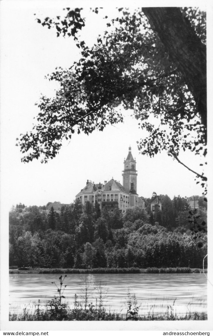 Schloss Wallsee An Der Donau - Amstetten