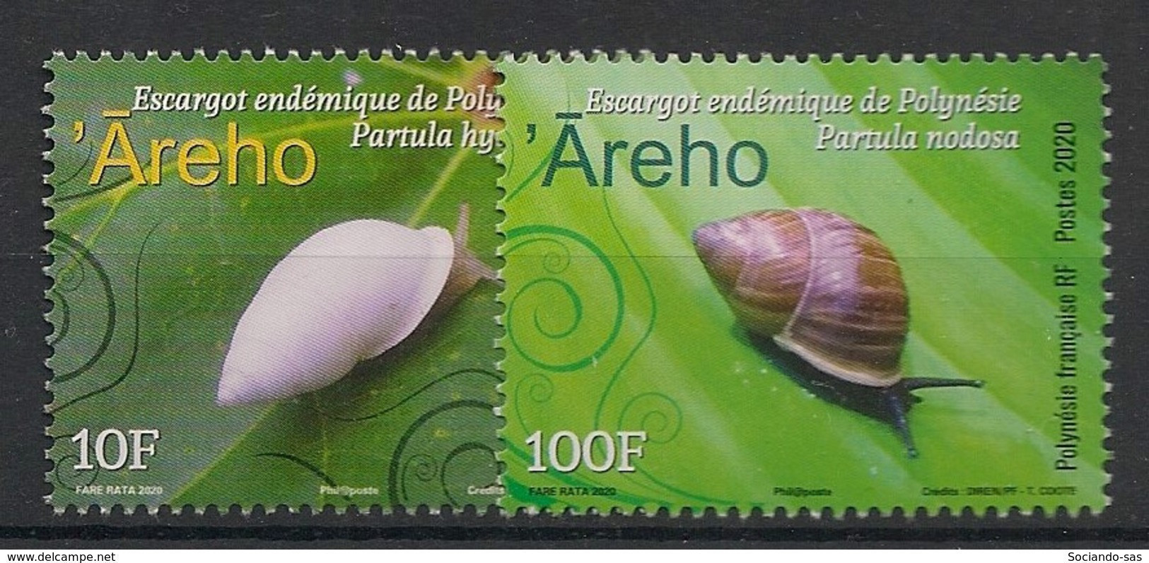 POLYNESIE - 2020 - N°YT. 1236 à 1237 - Escargots - Neuf Luxe ** / MNH / Postfrisch - Unused Stamps