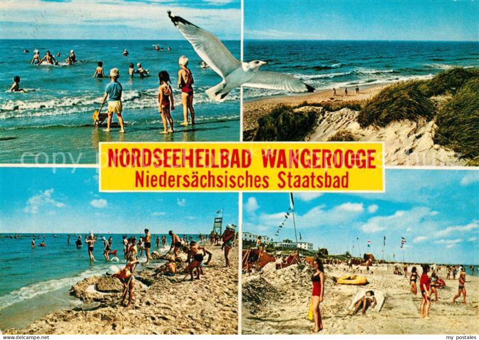 73296639 Wangerooge Nordseebad Strand Duenen Moewe Wangerooge Nordseebad - Wangerooge