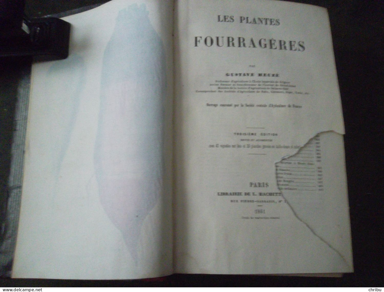 LES PLANTES FOURRAGERES PAR GUSTAVE HEUZE 1861 - 1801-1900