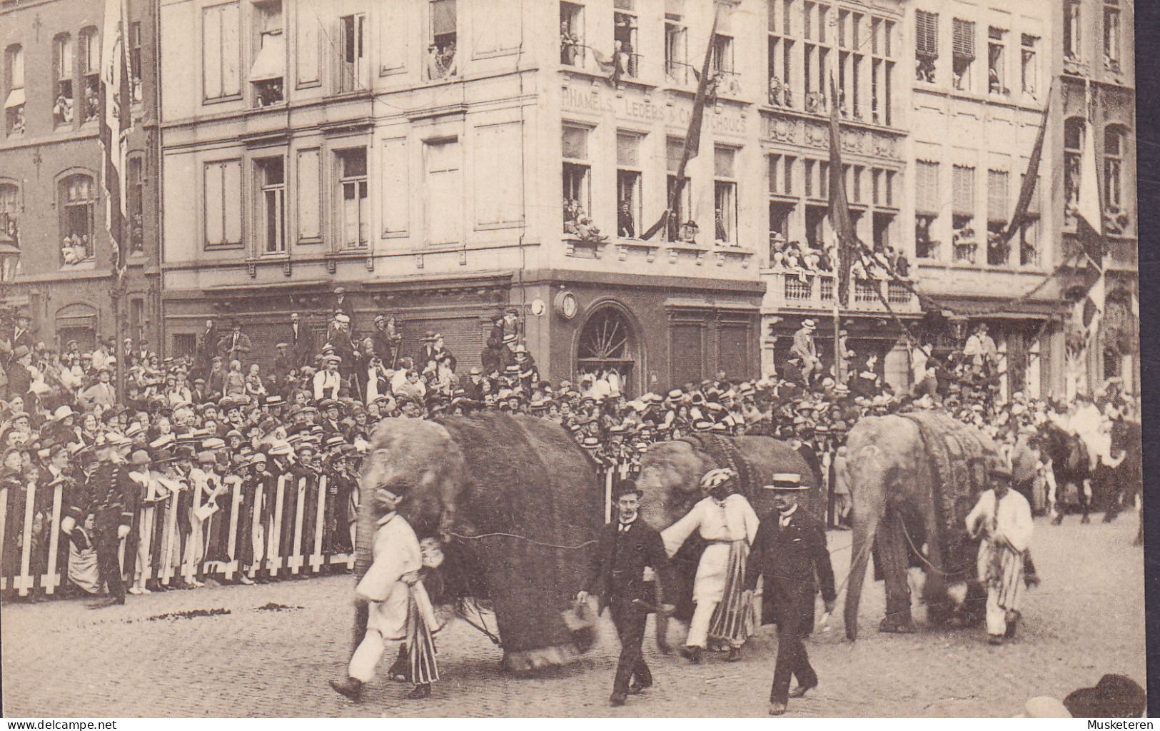 Belgium PPC Antwerpen 1923 Cortége Des Bijoux Inde - Les éléphants Elefanten (2 Scans) - Sonstige & Ohne Zuordnung