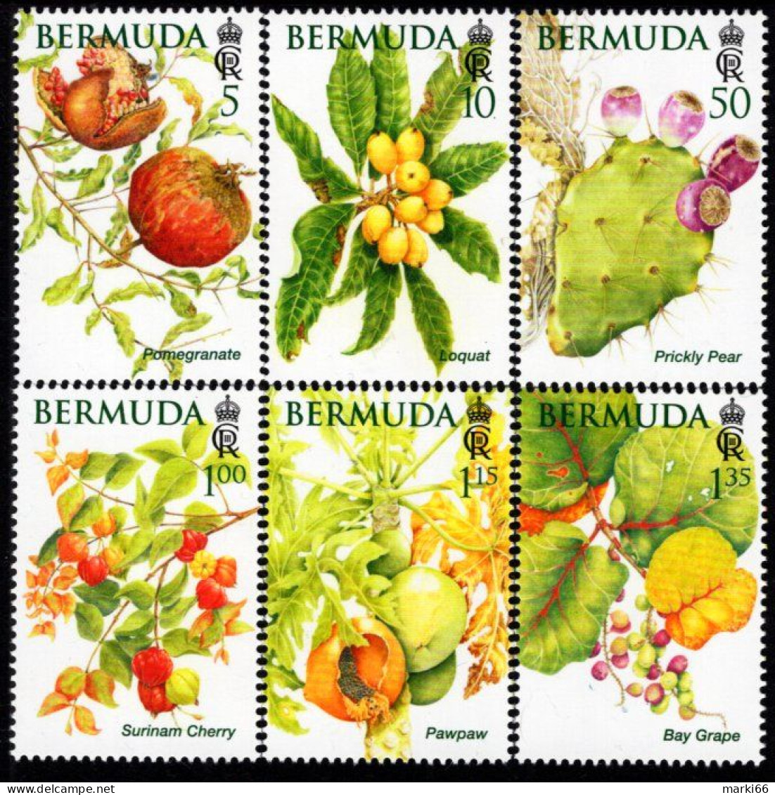 Bermuda - 2024 - Bermuda Fruits - Mint Stamp Set - Bermuda
