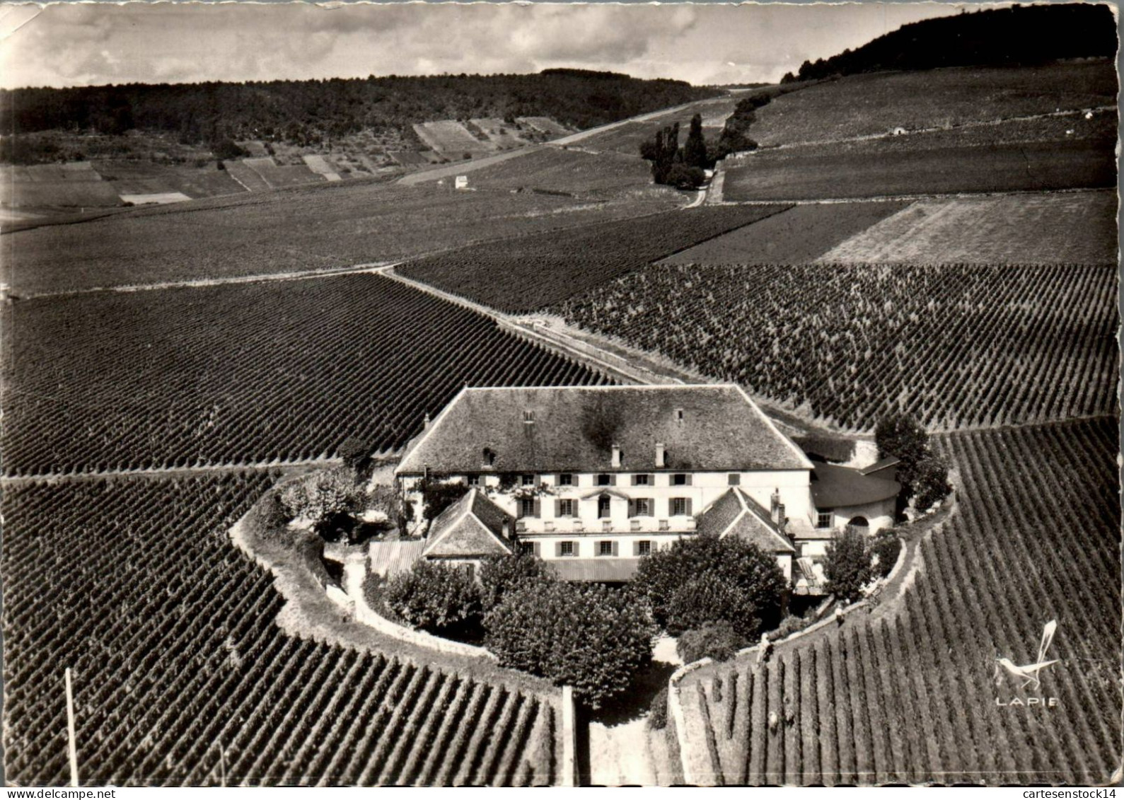 N°1962 W -cpsm Aloxe Corton -la Cuverie Du Château Corton Grancey- - Vignes