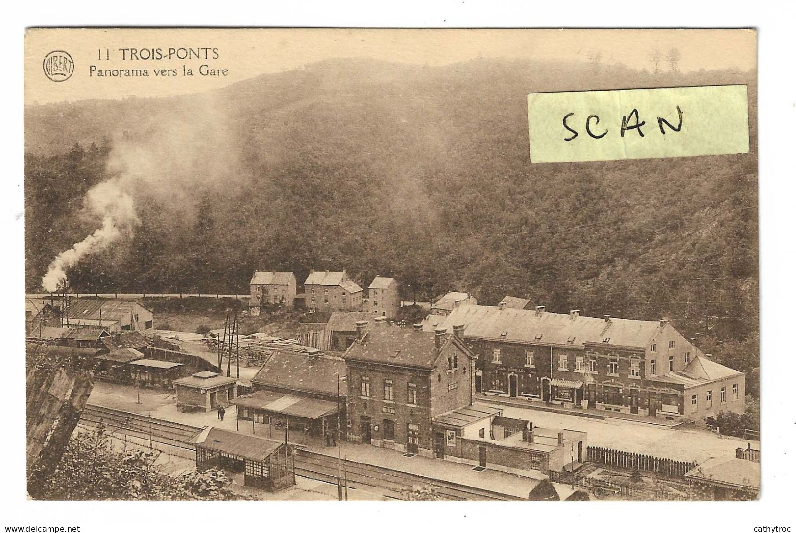 Trois-Ponts (Belgique) : Panorama Vers La Gare - Trois-Ponts