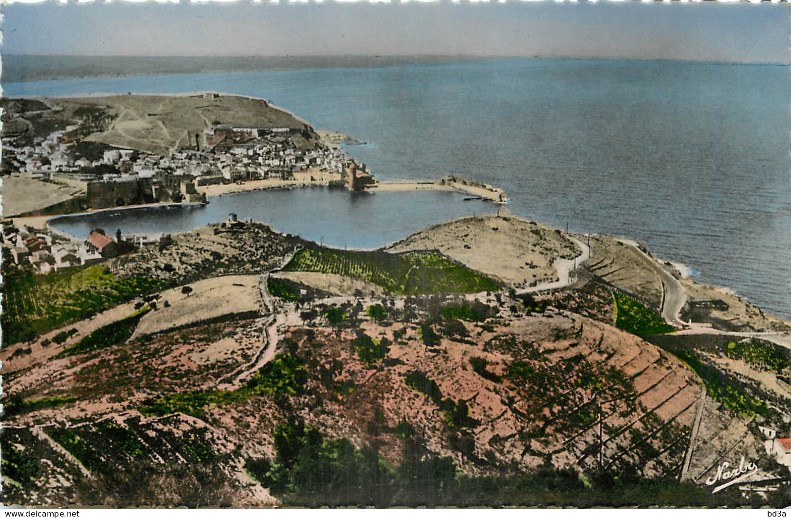 66 - COLLIOURE - VUE GENERALE ET LA ROUTE D'ESPAGNE - Collioure