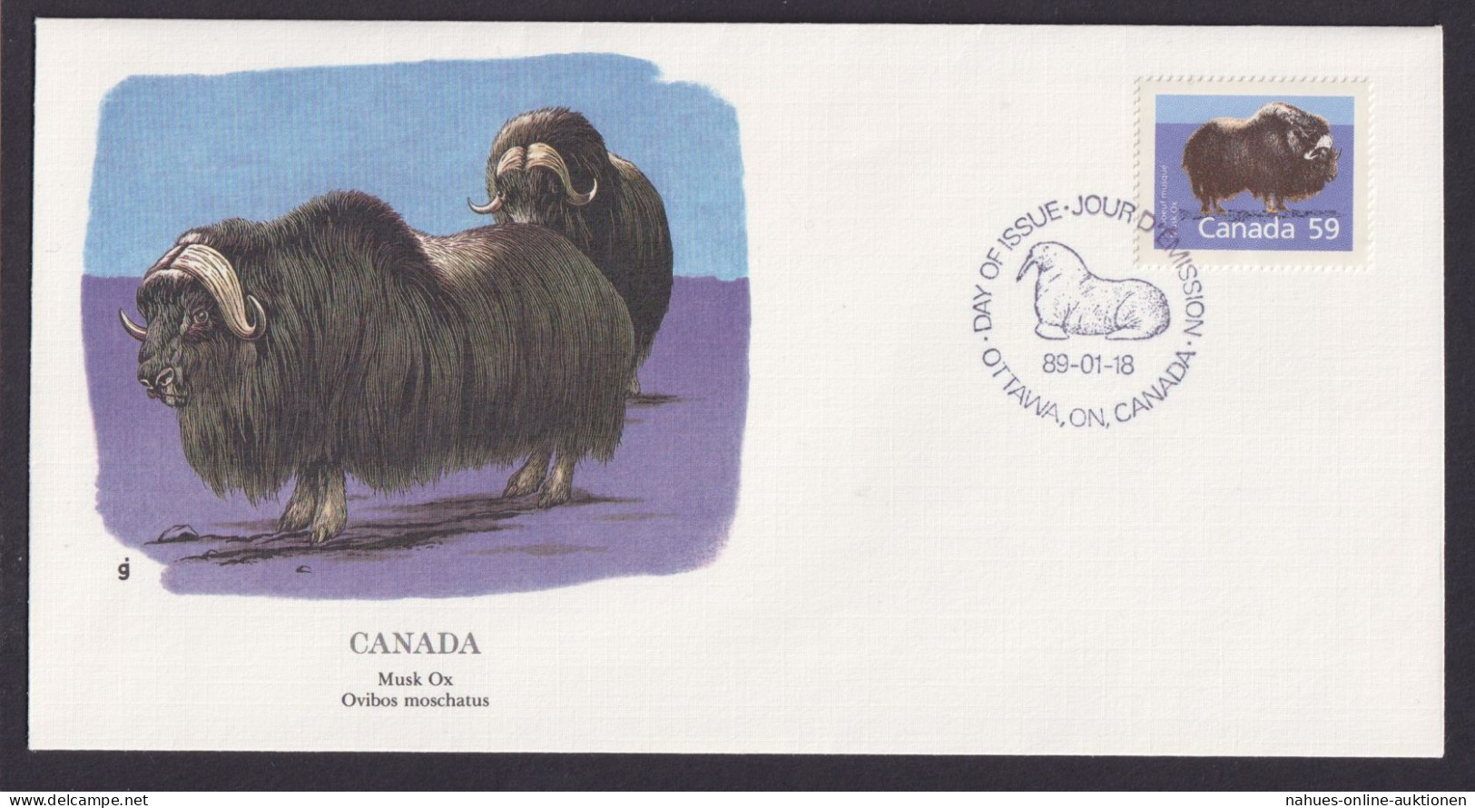 Canada Kanada Nordamerika Fauna Mochusochse Schöner Künstler Brief - Lettres & Documents