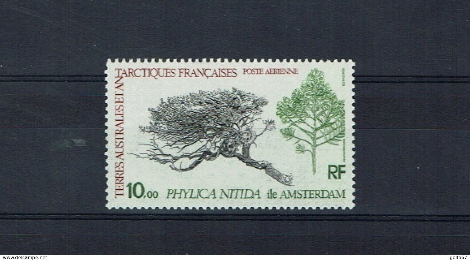 TAAF Poste Aérienne 1979 Y&T N° 60 NEUF** - Airmail