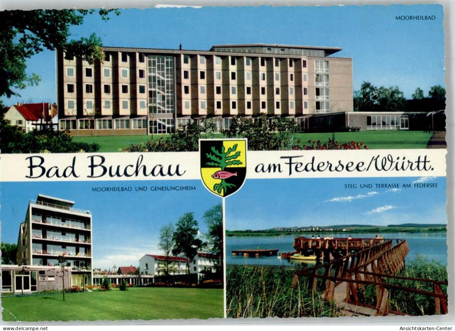 51661407 - Bad Buchau - Bad Buchau