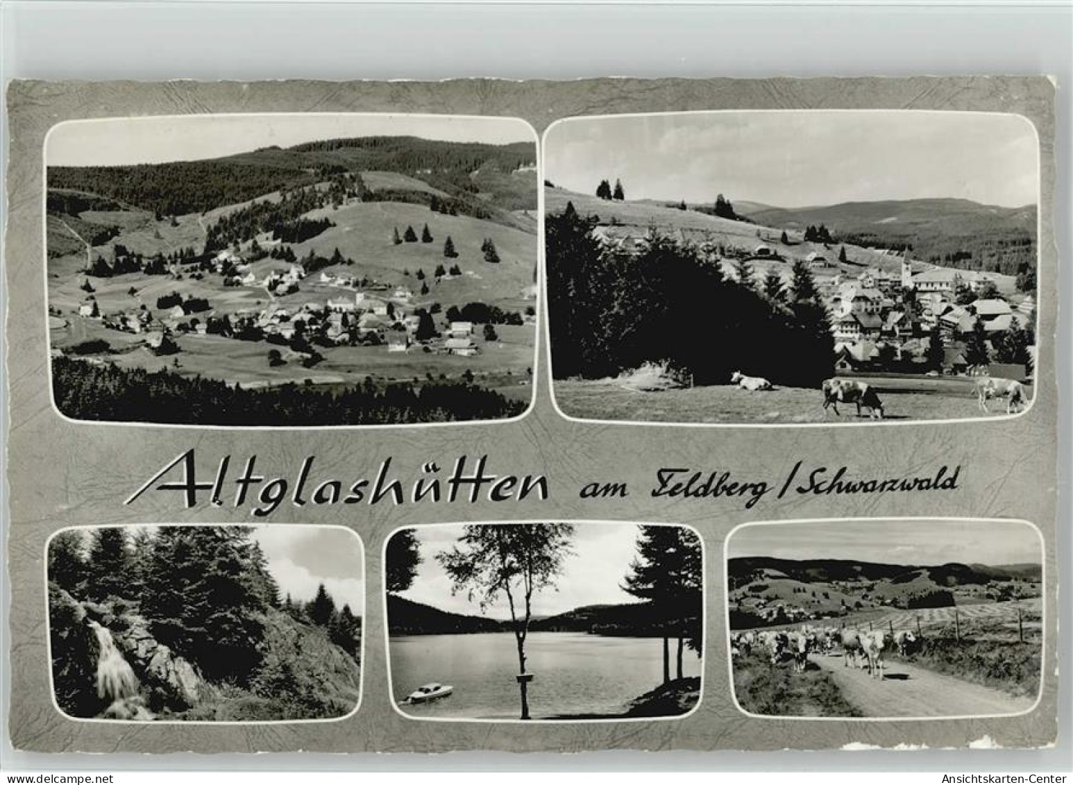 10015807 - Altglashuetten , Schwarzw - Feldberg