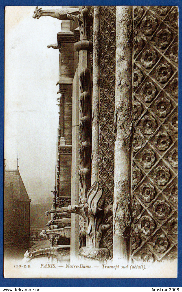 PARIS - NOTRE DAME - TRANSEPT SUD - DETAIL - FRANCE - Eglises