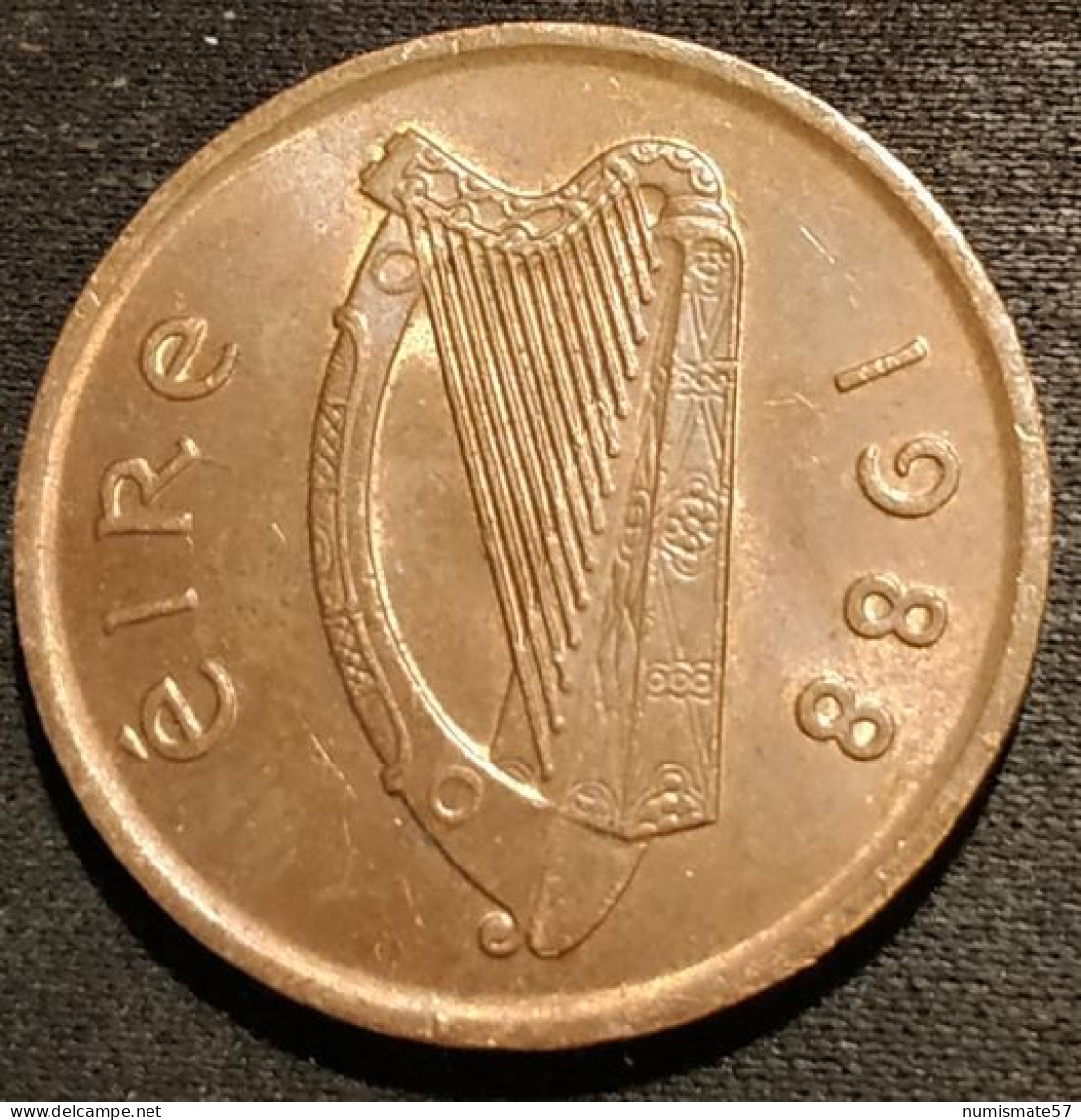 IRLANDE - EIRE - 2 PENCE 1988 - KM 21 - IRELAND - Ireland