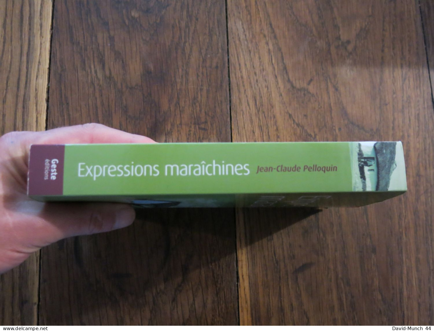 Expressions Maraichines De Vendée De Jean-Claude Pelloquin. Geste Editions. 2008 - Politik