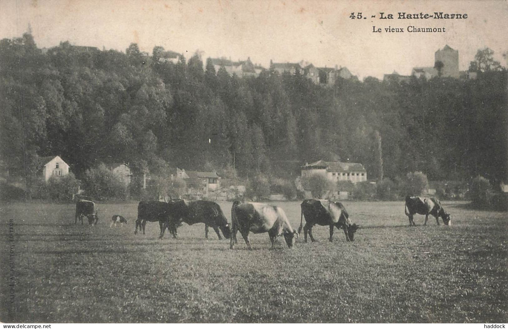 CHAUMONT : LA HAUTE MARNE - LE VIEUX CHAUMONT - Chaumont