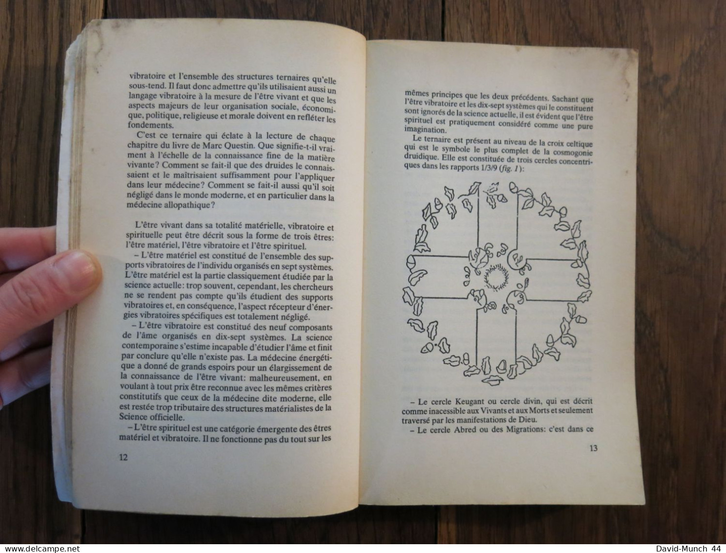 La médecine druidique de Marc Questin. L'Age du Verseau, New Age. 1990