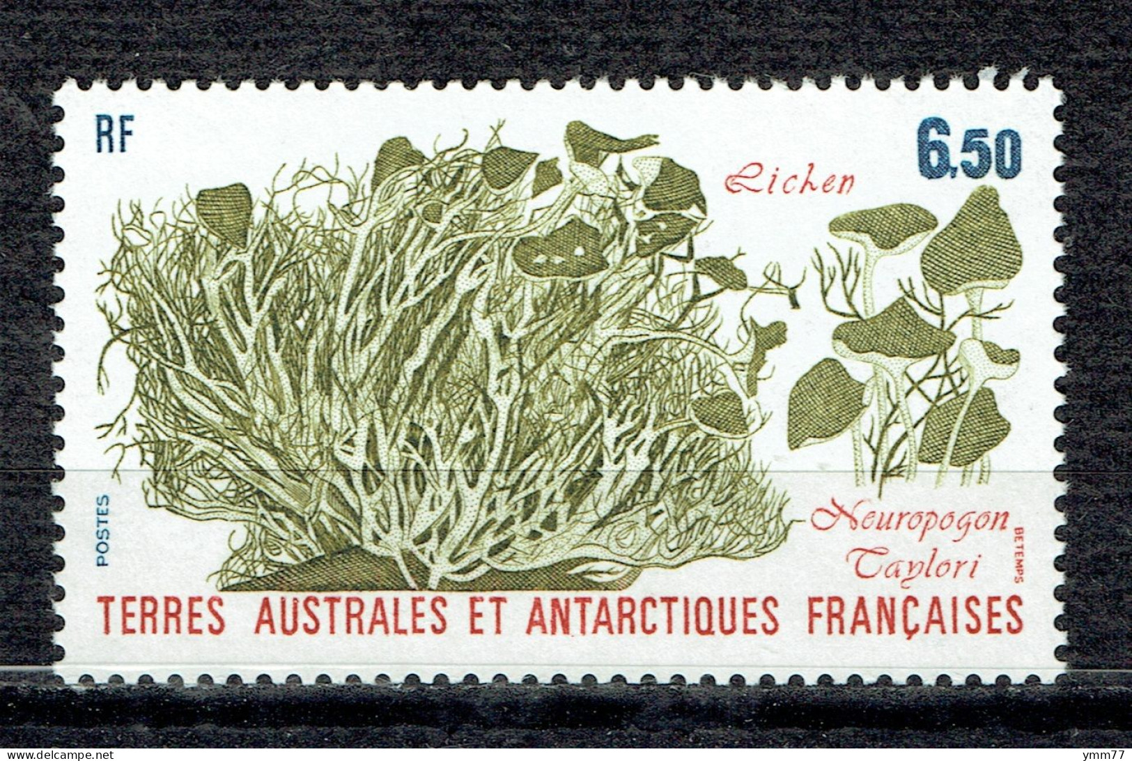 Flore Antarctique : Neuropogon Taylori - Unused Stamps