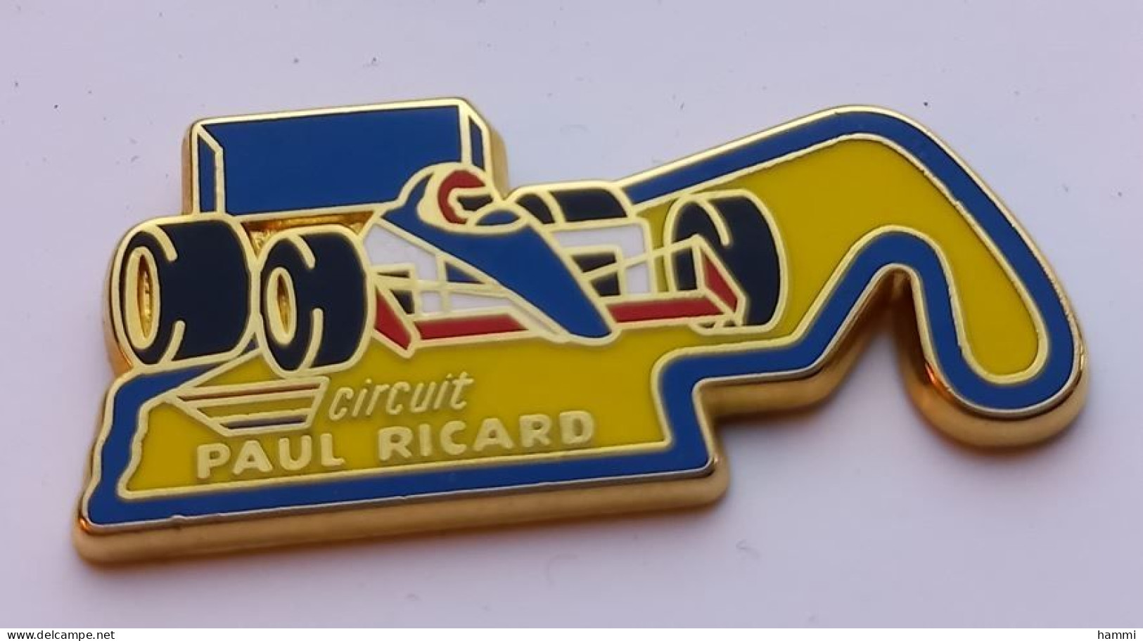 V20 Pin's F1 Formule 1 Circuit Paul Ricard Signé Arthus Bertrand Achat Immédiat - Rallye