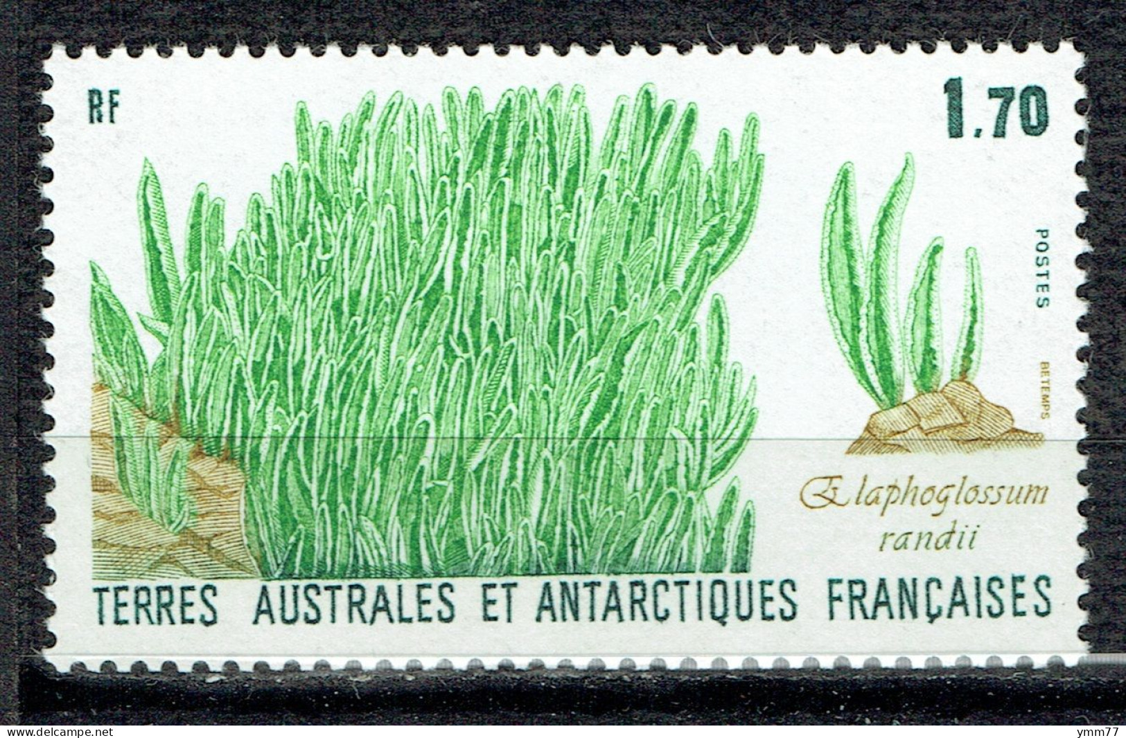 Flore Antarctique : Elaphoglossum Randii - Unused Stamps